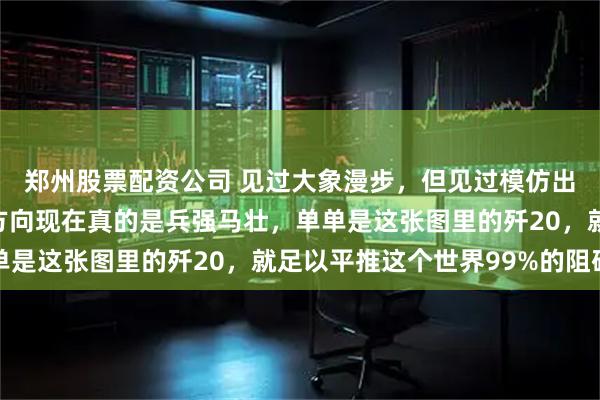 郑州股票配资公司 见过大象漫步，但见过模仿出大象的耳朵吗？西部方向现在真的是兵强马壮，单单是这张图里的歼20，就足以平推这个世界99%的阻碍