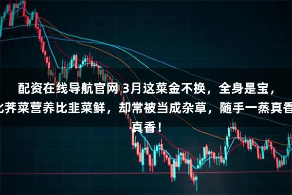 配资在线导航官网 3月这菜金不换,全身是宝,比荠菜营养比韭菜鲜,却常被当成杂草,随手一蒸真香!