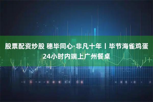 股票配资炒股 穗毕同心·非凡十年丨毕节海雀鸡蛋24小时内端上广州餐桌